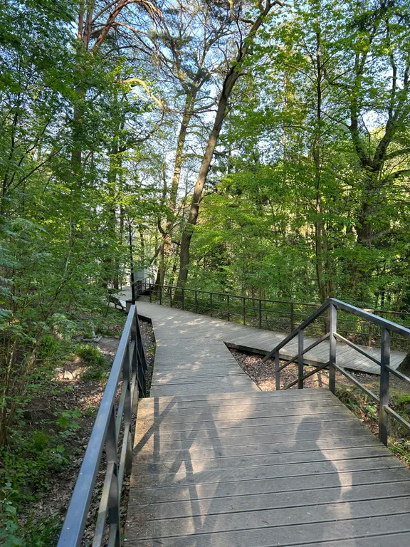 Квартира Апартаменты с видом на парк — Светлогорск