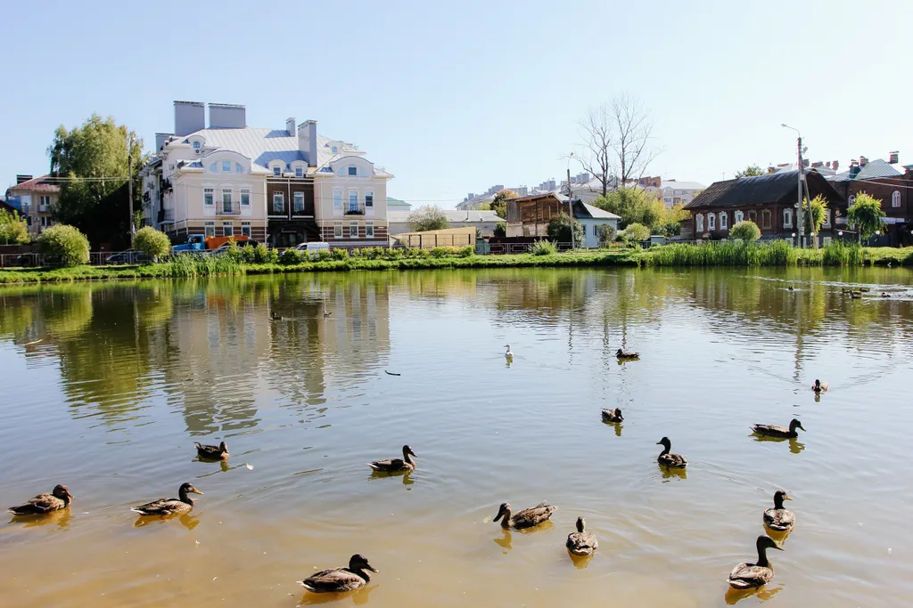 Новые апартаменты в центре с видом на пруд