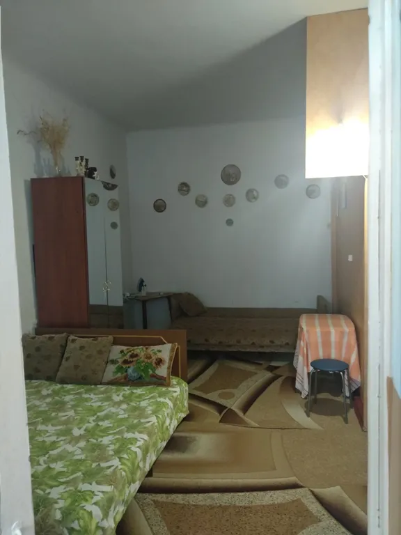 Эконом квартира с видом на гору кошку