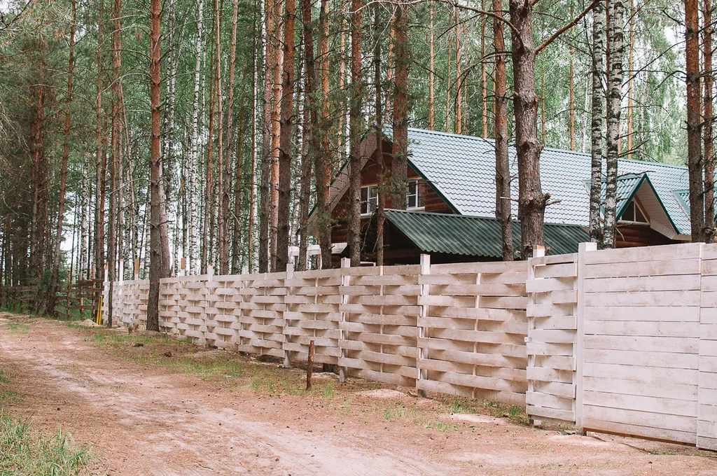 Дом в лесу на берегу реки Пра
