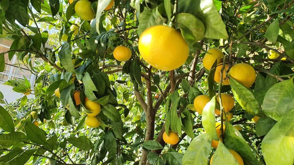 Трёхэтажный таунхаус в живописном месте с большим садом