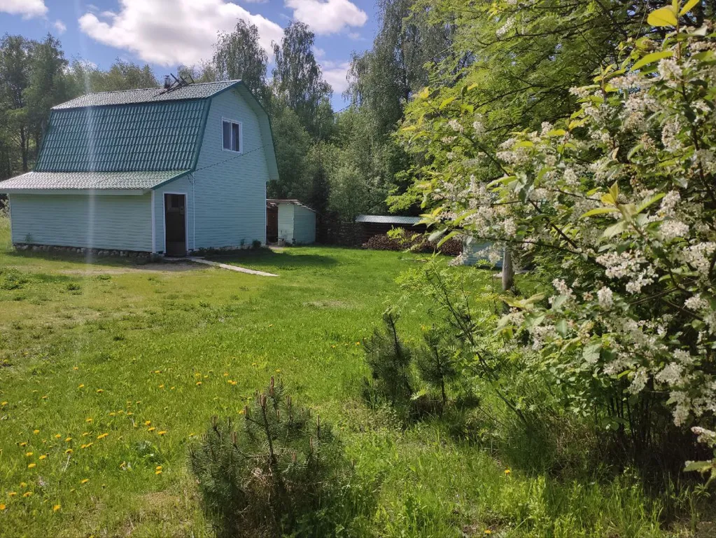 Киви со сливками