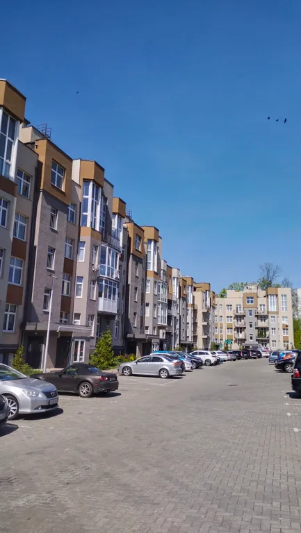 Квартира Светлая свежая квартира рядом с центром — Калининград