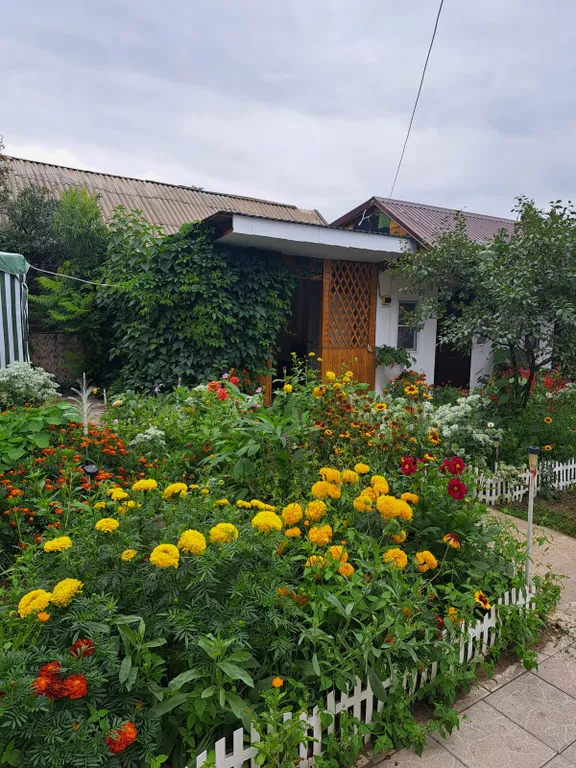 Семейный номер