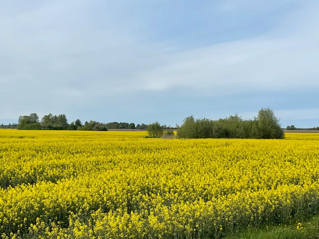Квартира Квартира Комфортный отдых у моря — Светлогорск