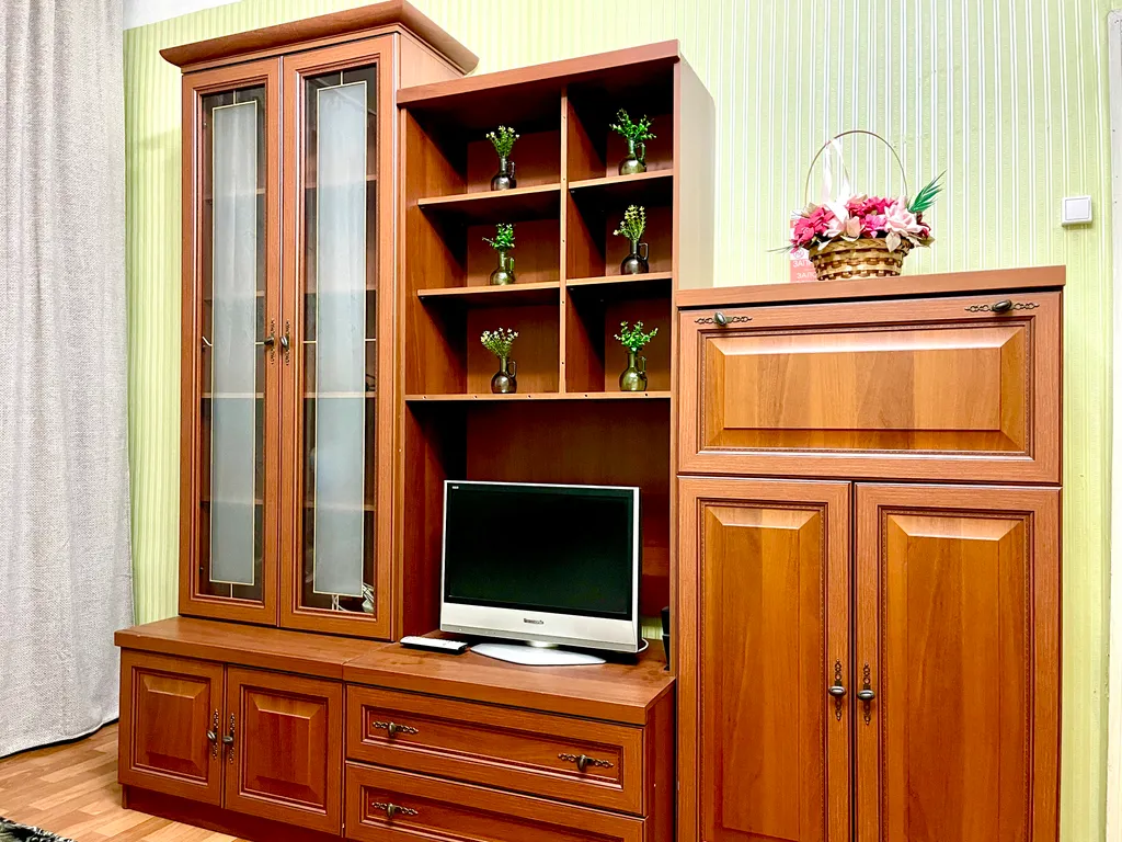 Квартира напротив Кристалл, городской парк