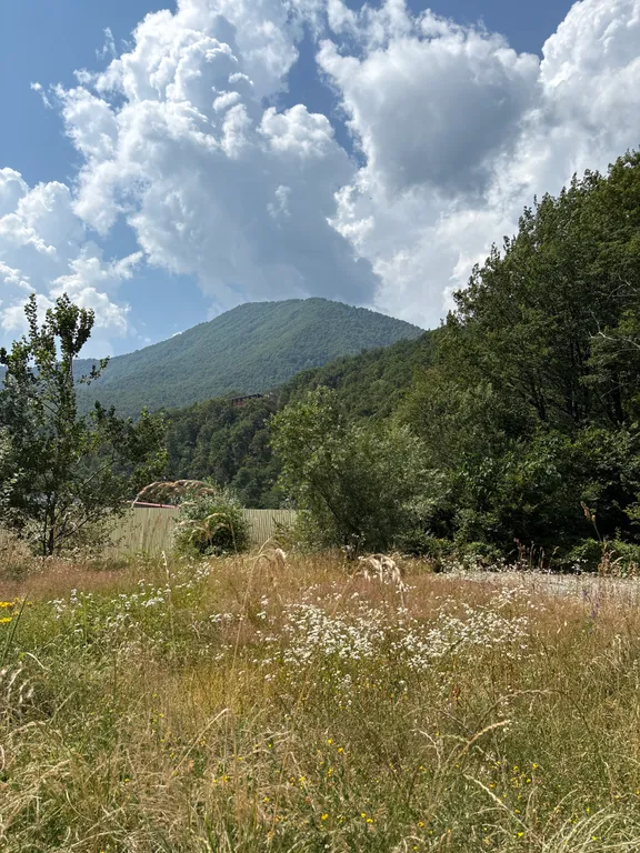 Квартира Делюкс, комната апартамент с балконом/террасой вид на горы, территорию — Сириус