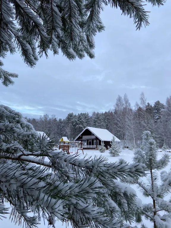 Коттедж Коттедж в Усадьбе Верхнее Никольское на берегу реки Волги — Сытьково