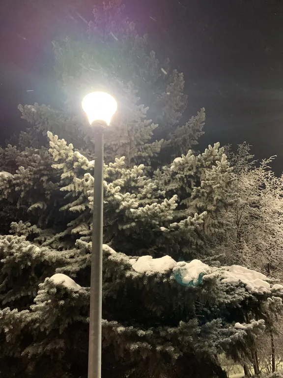 Уютное бунгало в стиле лофт