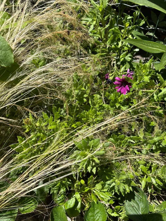 Квартира Делюкс-комната в лучшем районе Чёрного моря — Сириус