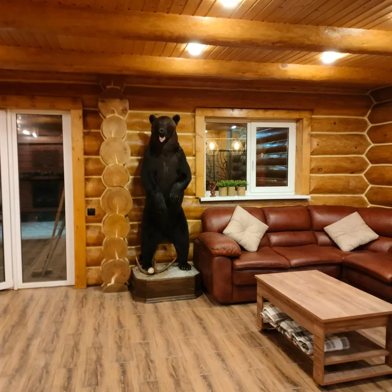 Дом в Карелии на берегу Онежского озера