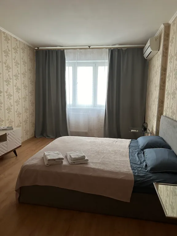 Большая однокомнатная квартира у парка — аренда посуточно в Химки