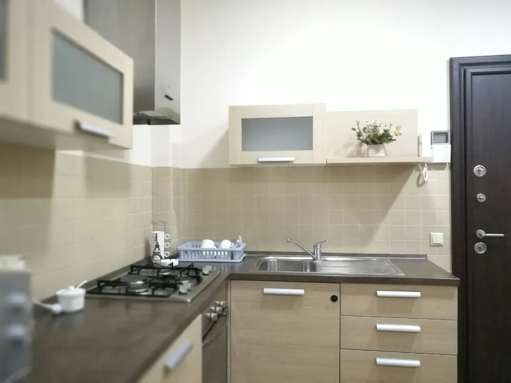 Квартира в бизнес-центре у проспекта Руставели