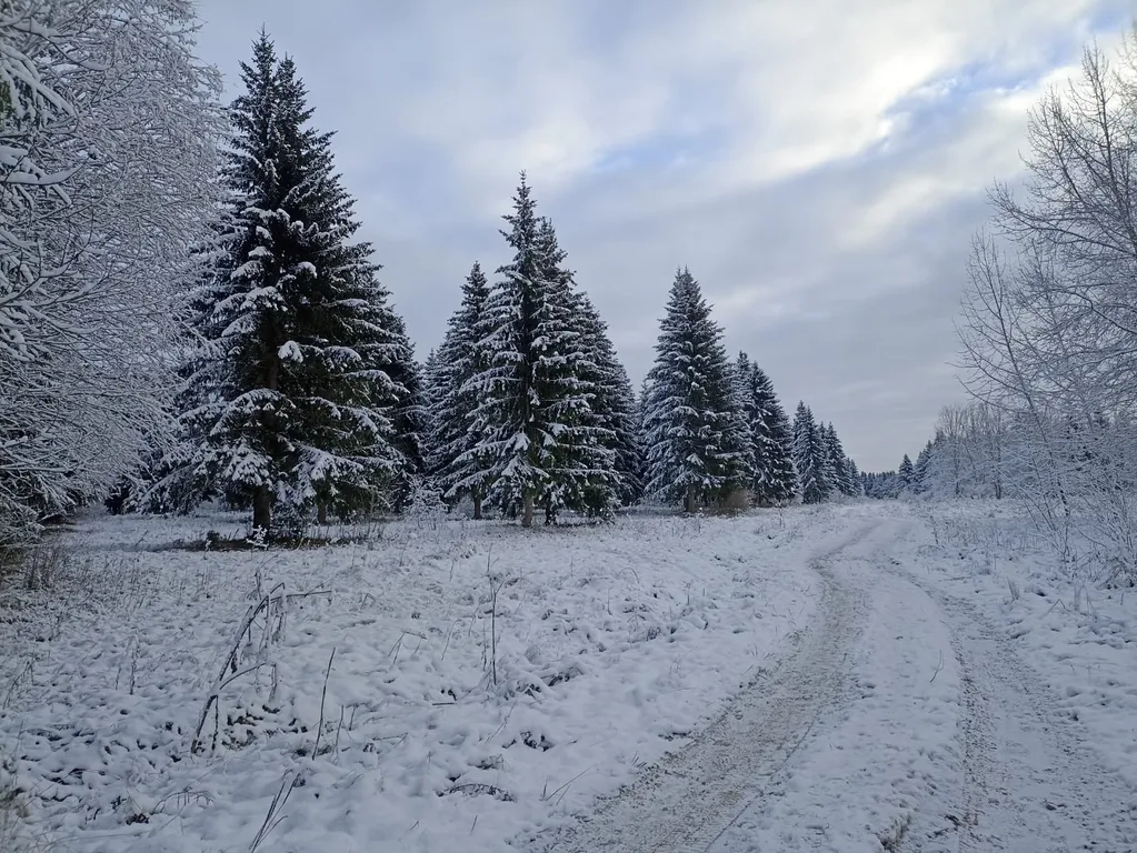 Уютный новый дом рядом с городом