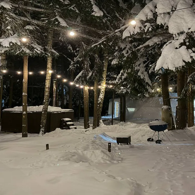 Дом-купольный в сосновом лесу для двоих