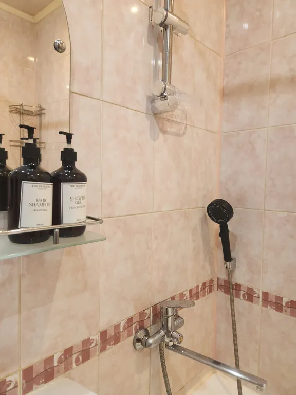 Шикарная евродвушка в центре у театра Кукол