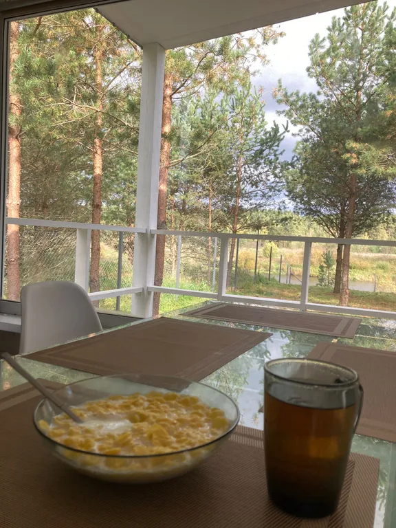 Дом на первой линии реки в тишине леса под Тверью