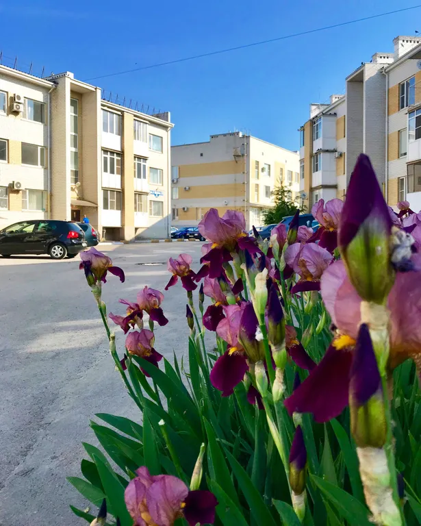 Комфорт в ста метрах от берега