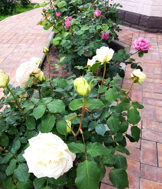 Уютная комната для отдыха с видом на горы