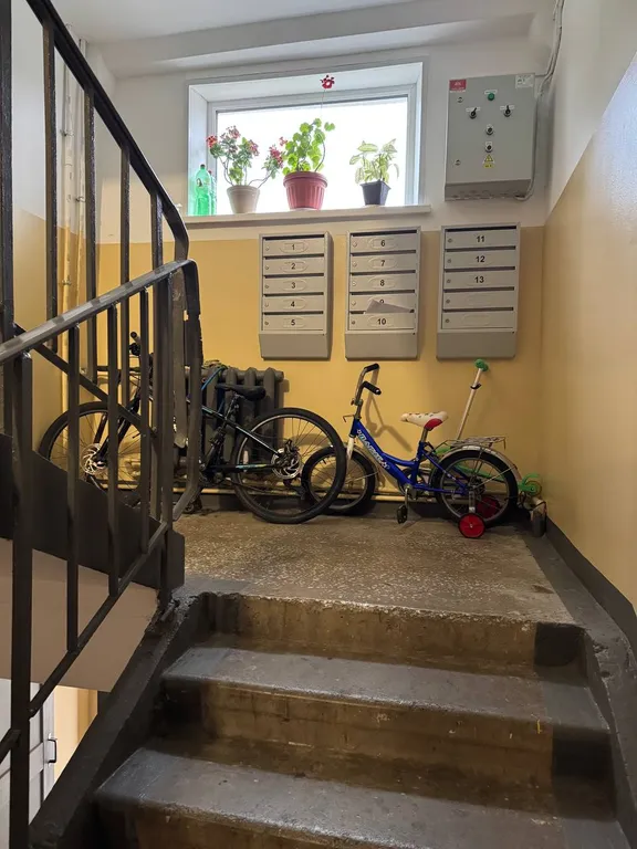 Большая квартира у моря на Русском острове