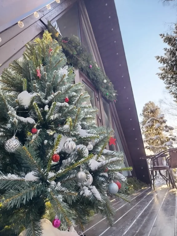 Атмосферный дом шале с видом на лес