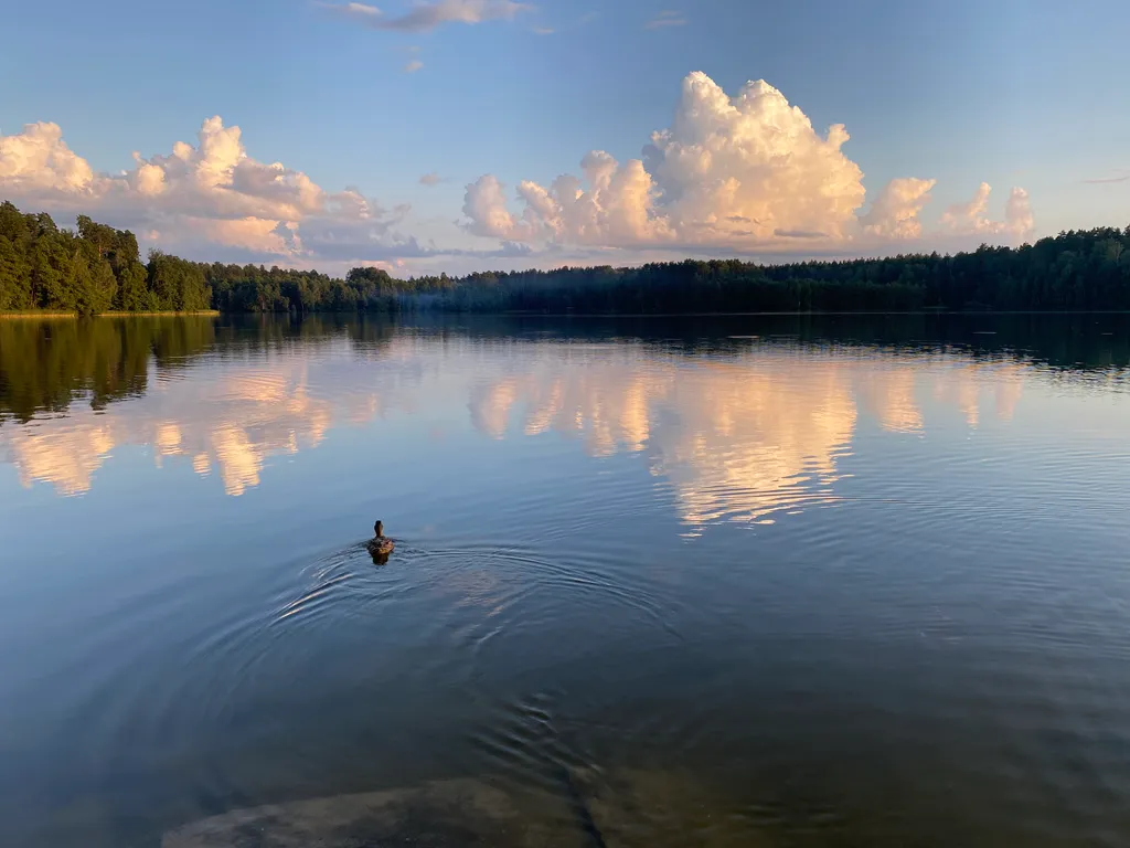 Квартира на берегу озера в национальном парке Марий Чодра