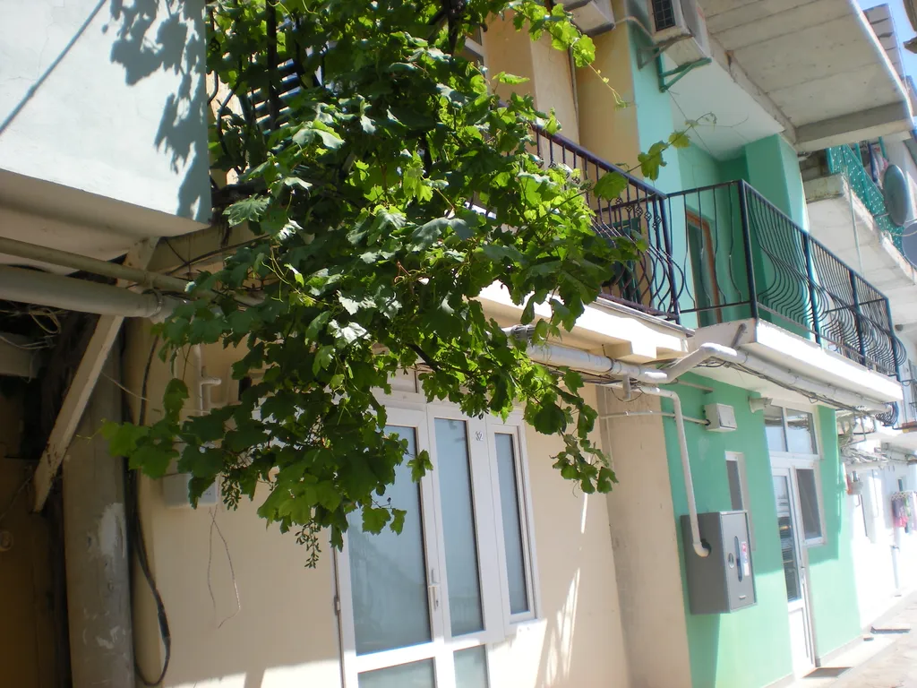 Семейный апартамент в эллинге