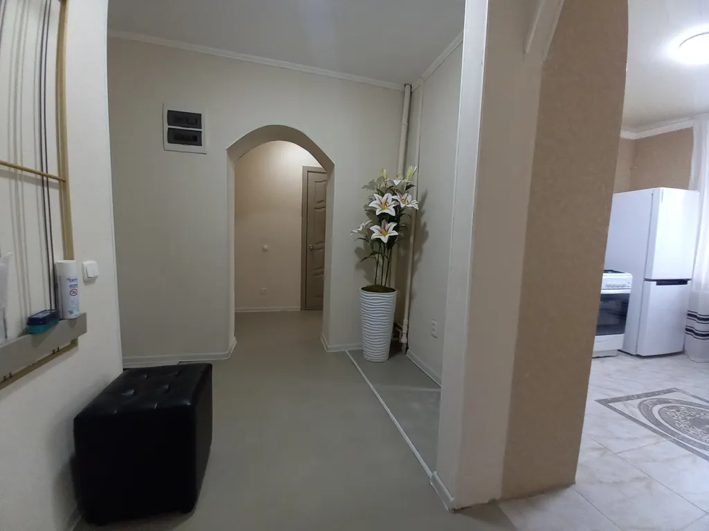 Солнечная орбита