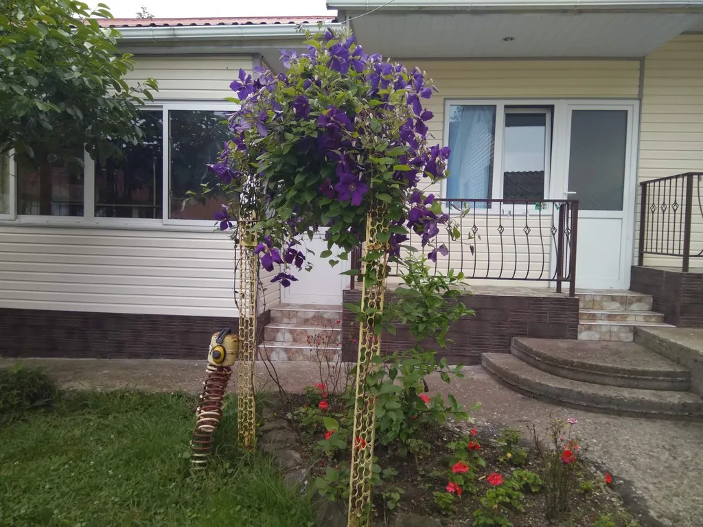 Квартира Комната — Зубова Щель