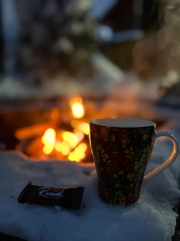 Коттедж Дом на берегу пруда — Бор