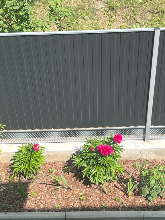 В гостях у Надежды