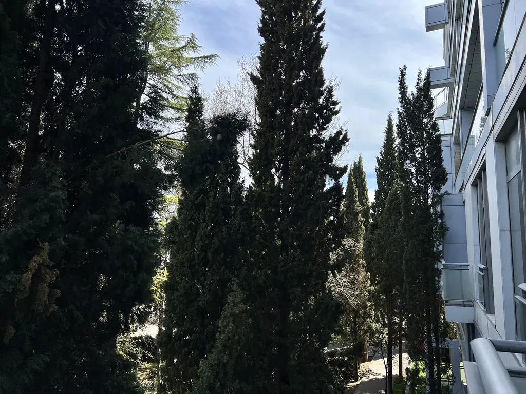 Элитные апартаменты Дача Доктора Штейнгольца 115м.кв.