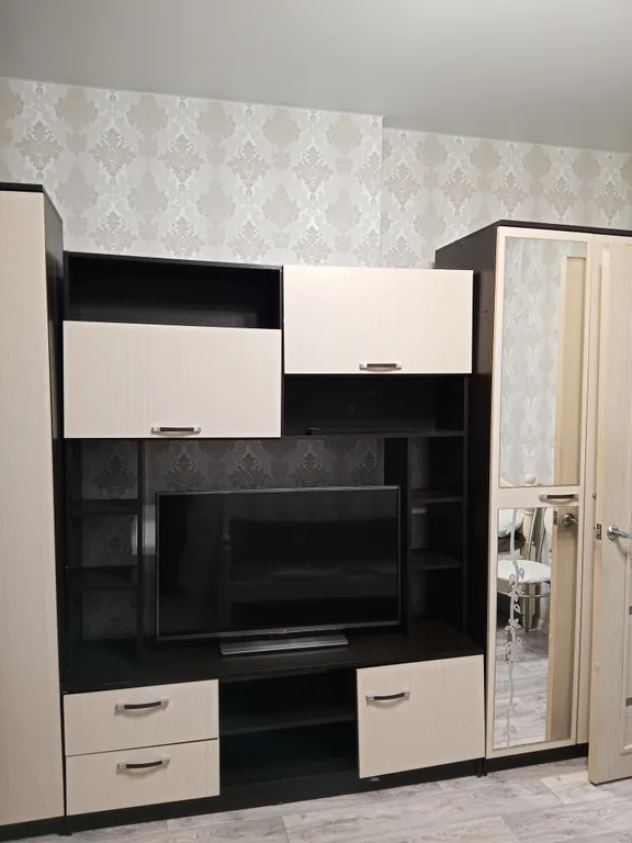 Большая светлая чистая квартира