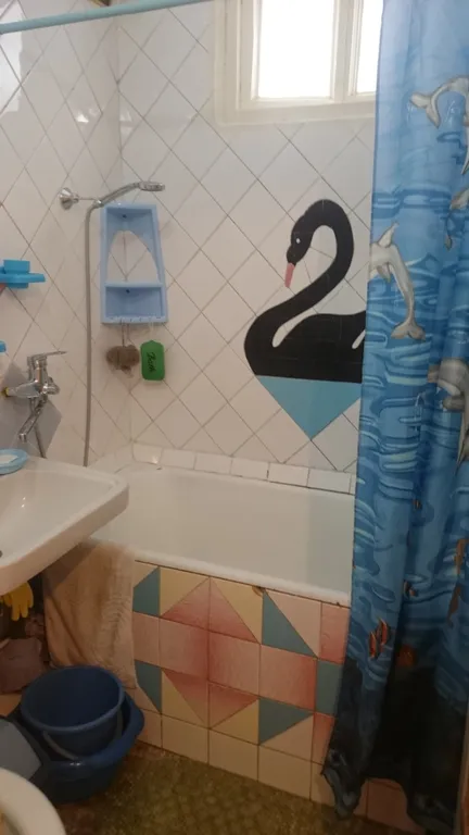 Однокомнатная квартира в центре Хосты