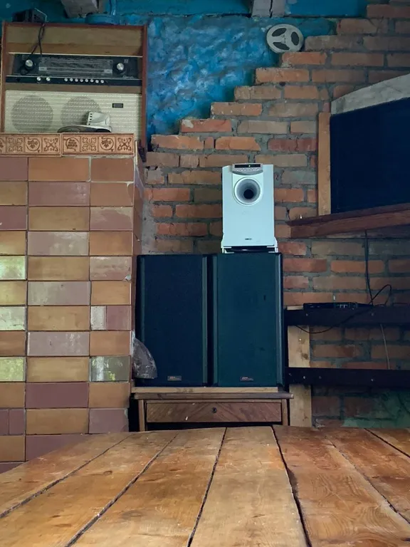 Большой дом с бассейном и диско, в ретро стиле около аэропорта Минск