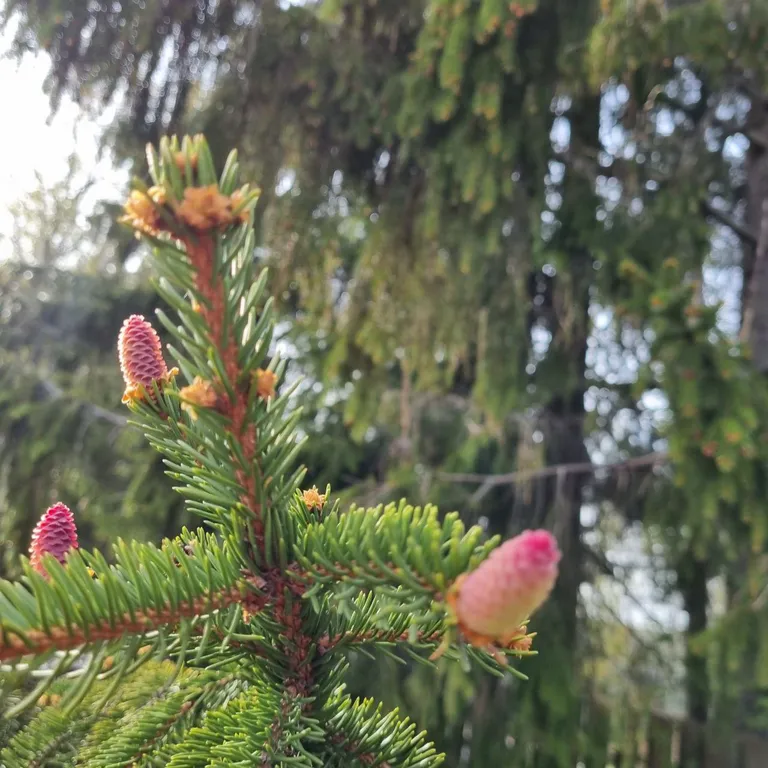 Уютный дом на берегу озера "Прозрачный берег №2"