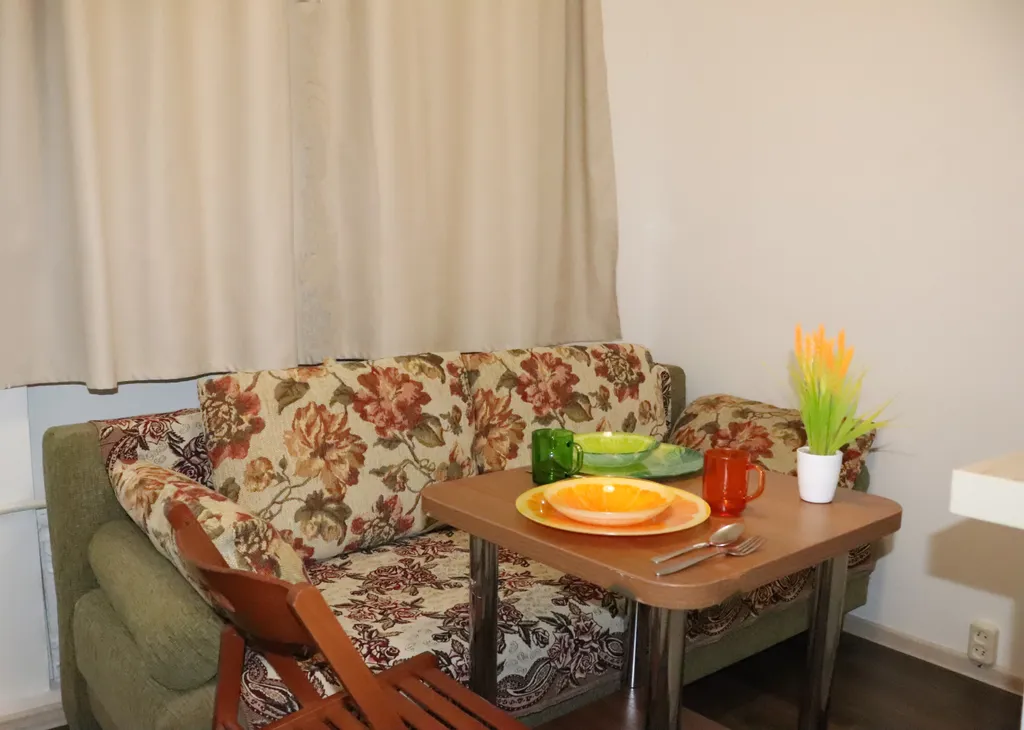 Квартира Прохладная студия с двуспальным диваном у станции МЦД4 Железнодорожная — аренда посуточно в Балашиха