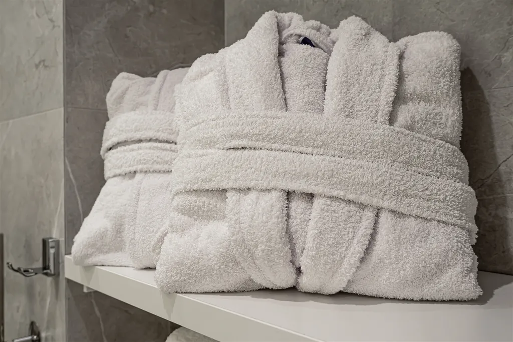 Уникальная квартира Реномэ