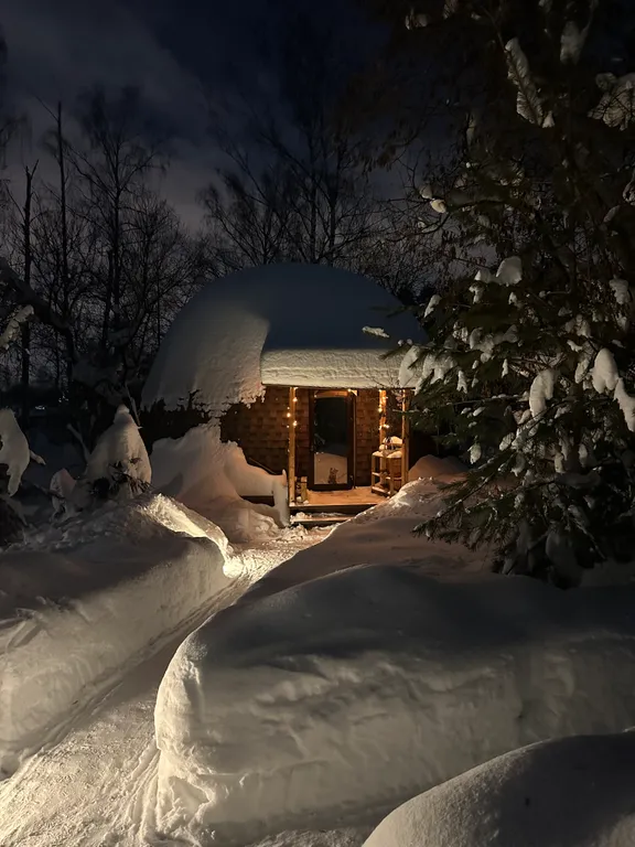 Коттедж Купольный дом с баней и купелью в лесу в Москве — аренда посуточно в Щербинка