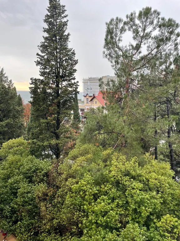 Квартира Квартира Апартамент Svetlana — Сочи