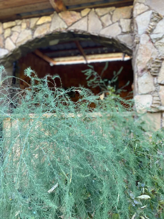 Апартаменты у моря, Кипарисовая аллея, вторая береговая линия