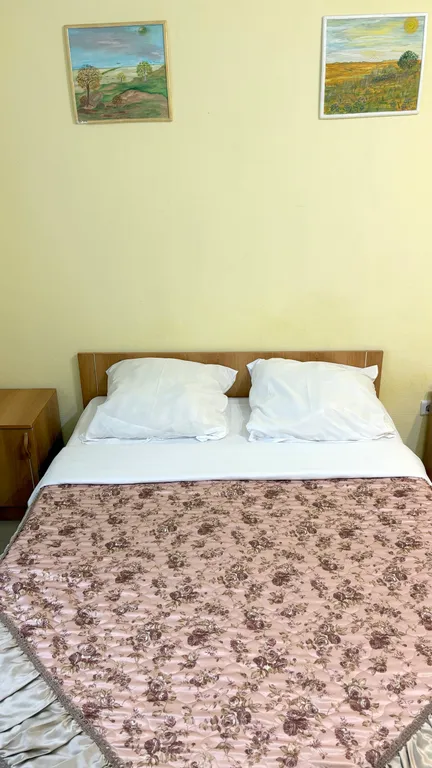 Однокомнатная в Петра Дубраве