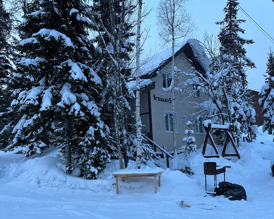 Деревянный дом