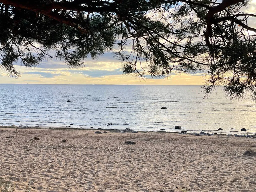 Уютная дача в Репино