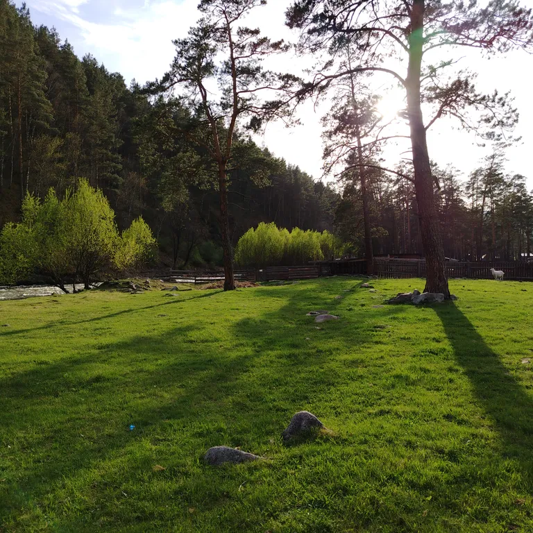 Глубинка Алтая, дом с камином на берегу реки