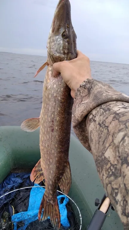 Дом на озере Ильмень