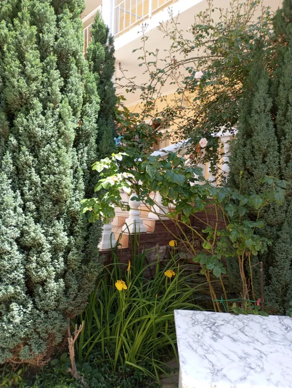 Студия у моря