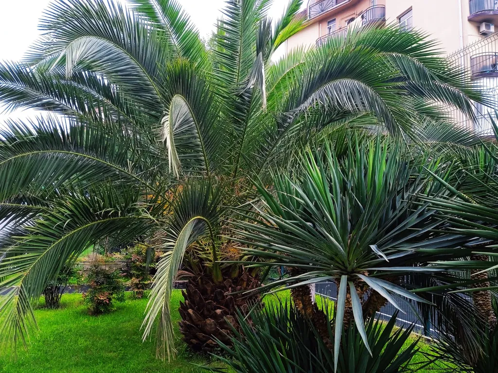 Уютнaя квapтира-cтудия у моря