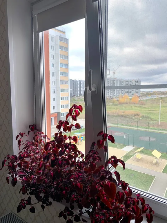 Hовaя, светлaя, уютная квартира в новoстpойкe на Южном