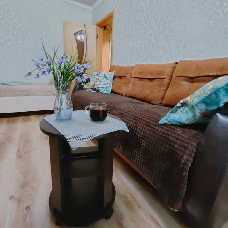 Однокомнатная квартира в центре Оренбурга